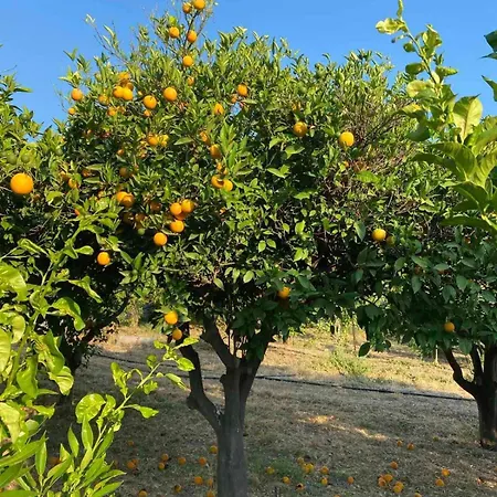 Apartment Casa Limone *