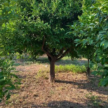 Casa Limone *