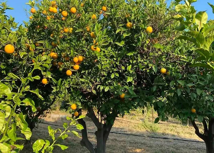 Appartement Casa Limone *